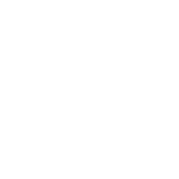 Gin tastings